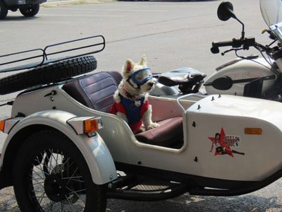 Webinar Copilot